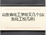 山东省化工学校又几个(山东化工校几所)