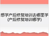 想学产后修复培训去哪里学(产后修复培训哪学)