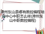 漳州东山县哪有数控编程培训中心中职怎么样(漳州东山中职数控编程)