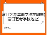 营口艺考集训学校在哪里(营口艺考学校地址)