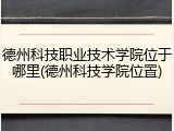 德州科技职业技术学院位于哪里(德州科技学院位置)