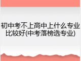 初中考不上高中上什么专业比较好(中考落榜选专业)