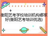 衡阳艺考学校培训机构哪家好(衡阳艺考培训优选)