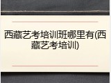 西藏艺考培训班哪里有(西藏艺考培训)
