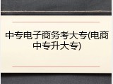 中专电子商务考大专(电商中专升大专)