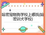 哈密宠物狗学校上哪找(哈密训犬学校)