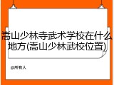 嵩山少林寺武术学校在什么地方(嵩山少林武校位置)