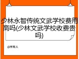 少林永智传统文武学校费用高吗(少林文武学校收费贵吗)