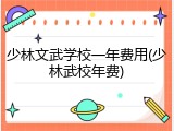 少林文武学校一年费用(少林武校年费)