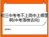 初三中考考不上高中上哪里啊(中考落榜去向)