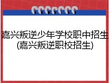 嘉兴叛逆少年学校职中招生(嘉兴叛逆职校招生)