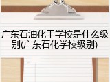 广东石油化工学校是什么级别(广东石化学校级别)