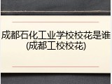 成都石化工业学校校花是谁(成都工校校花)