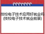 技校电子技术应用好就业吗(技校电子技术就业前景)