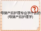 母猪产后护理专业学什么的(母猪产后护理学)