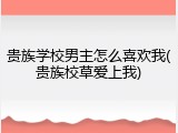 贵族学校男主怎么喜欢我(贵族校草爱上我)