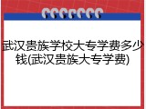 武汉贵族学校大专学费多少钱(武汉贵族大专学费)