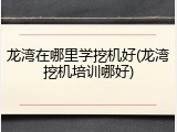 龙湾在哪里学挖机好(龙湾挖机培训哪好)
