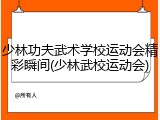 少林功夫武术学校运动会精彩瞬间(少林武校运动会)