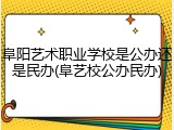 阜阳艺术职业学校是公办还是民办(阜艺校公办民办)