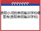 贵阳小河的单招集训学校哪里有(贵阳单招集训学校)