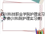 四川科技职业学院护理实习学费(川科院护理实习费)