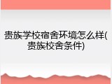 贵族学校宿舍环境怎么样(贵族校舍条件)