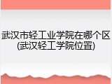 武汉市轻工业学院在哪个区(武汉轻工学院位置)