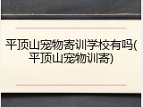 平顶山宠物寄训学校有吗(平顶山宠物训寄)