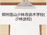 郑州嵩山少林寺武术学校(少林武校)