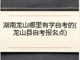 湖南龙山哪里有学自考的(龙山县自考报名点)