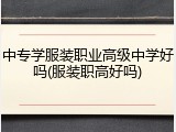 中专学服装职业高级中学好吗(服装职高好吗)