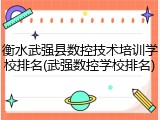 衡水武强县数控技术培训学校排名(武强数控学校排名)