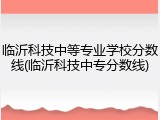 临沂科技中等专业学校分数线(临沂科技中专分数线)