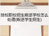 技校职校招生叛逆学校怎么处理(叛逆学生招生)
