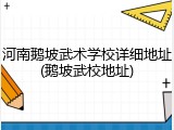 河南鹅坡武术学校详细地址(鹅坡武校地址)