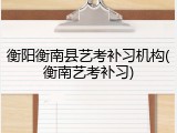 衡阳衡南县艺考补习机构(衡南艺考补习)