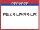 舞蹈艺考证件(舞考证件)