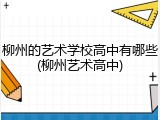 柳州的艺术学校高中有哪些(柳州艺术高中)