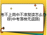 考不上高中不准复读怎么办呀(中考落榜无退路)