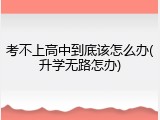考不上高中到底该怎么办(升学无路怎办)
