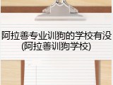 阿拉善专业训狗的学校有没(阿拉善训狗学校)