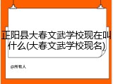 正阳县大春文武学校现在叫什么(大春文武学校现名)