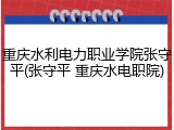 重庆水利电力职业学院张守平(张守平 重庆水电职院)