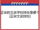 正宗的文武学校技校是哪个(正宗文武技校)