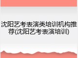 沈阳艺考表演类培训机构推荐(沈阳艺考表演培训)