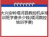 大兴安岭塔河县数控机床培训班学费多少钱(塔河数控培训学费)