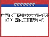 广西化工职业技术学院好不好(广西化工职院咋样)