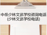 中岳少林文武学校咨询电话(少林文武学校电话)
