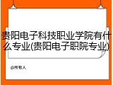 贵阳电子科技职业学院有什么专业(贵阳电子职院专业)